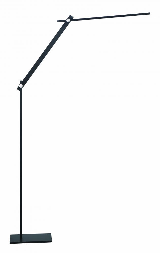 LED Floor Lamp