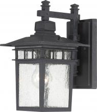 Short and Long Tail Included Nuvo 60-987 Outdoor Wall Lantern 